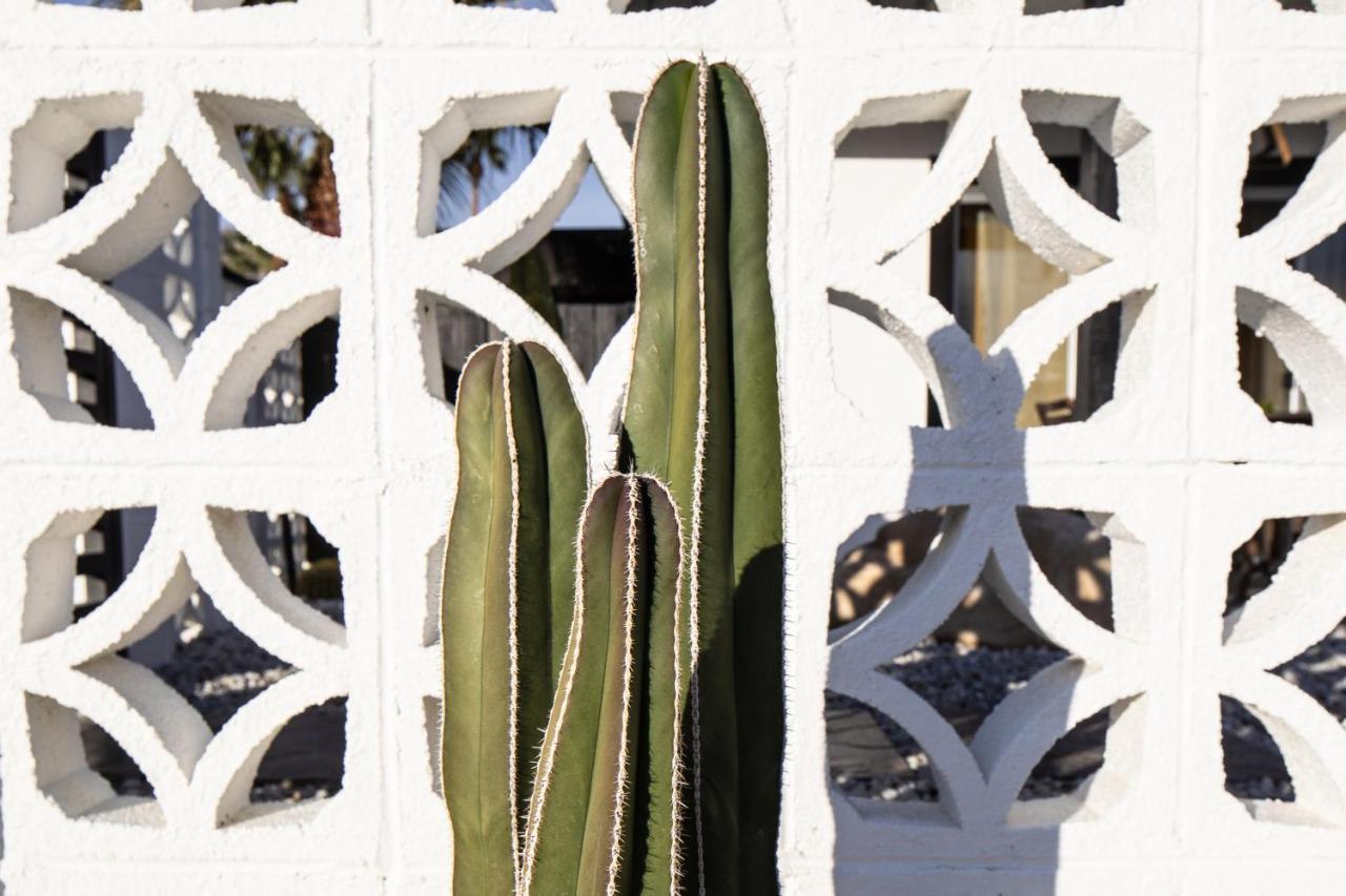 Mid-Century Modern Home In Beautiful La Quinta Luaran gambar
